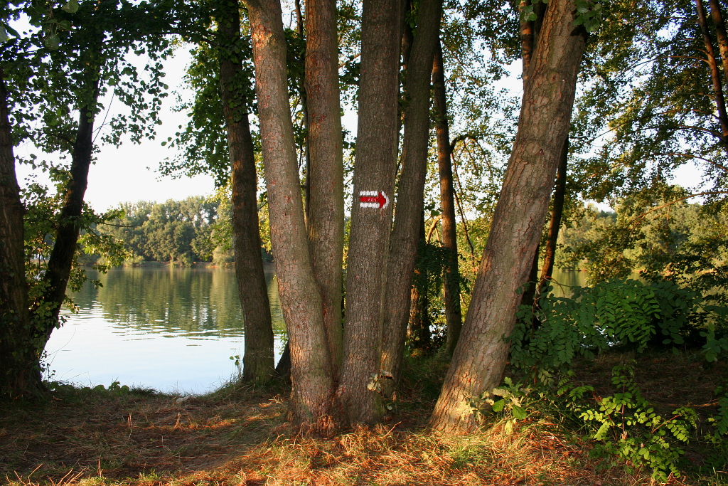 jezero Sadská