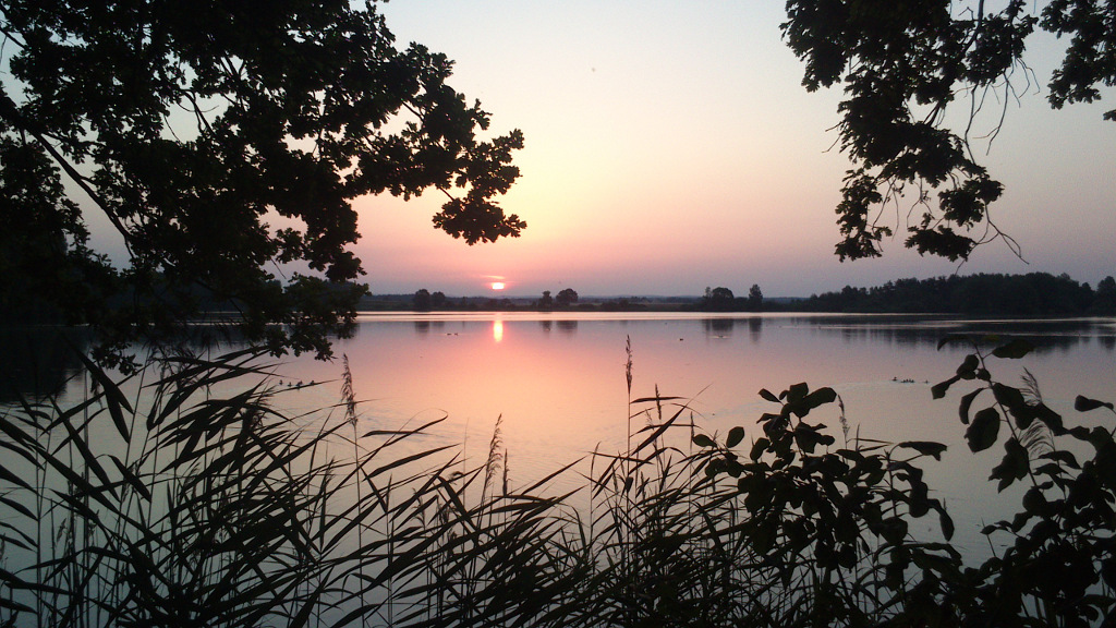 Vlkovský rybník Veselí