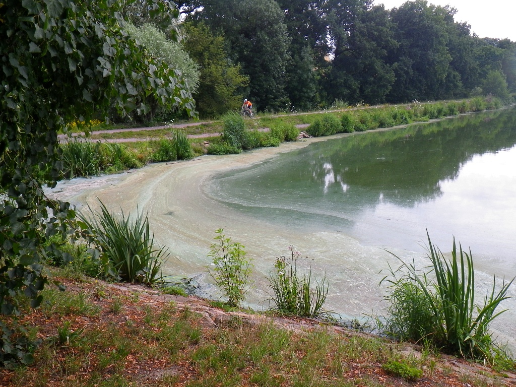 Velký Počernický rybník