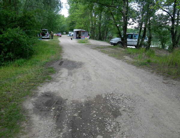 Baraba