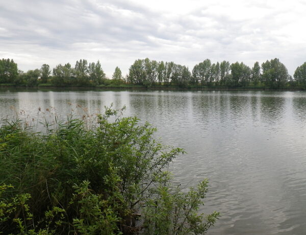 Baraba Mělník
