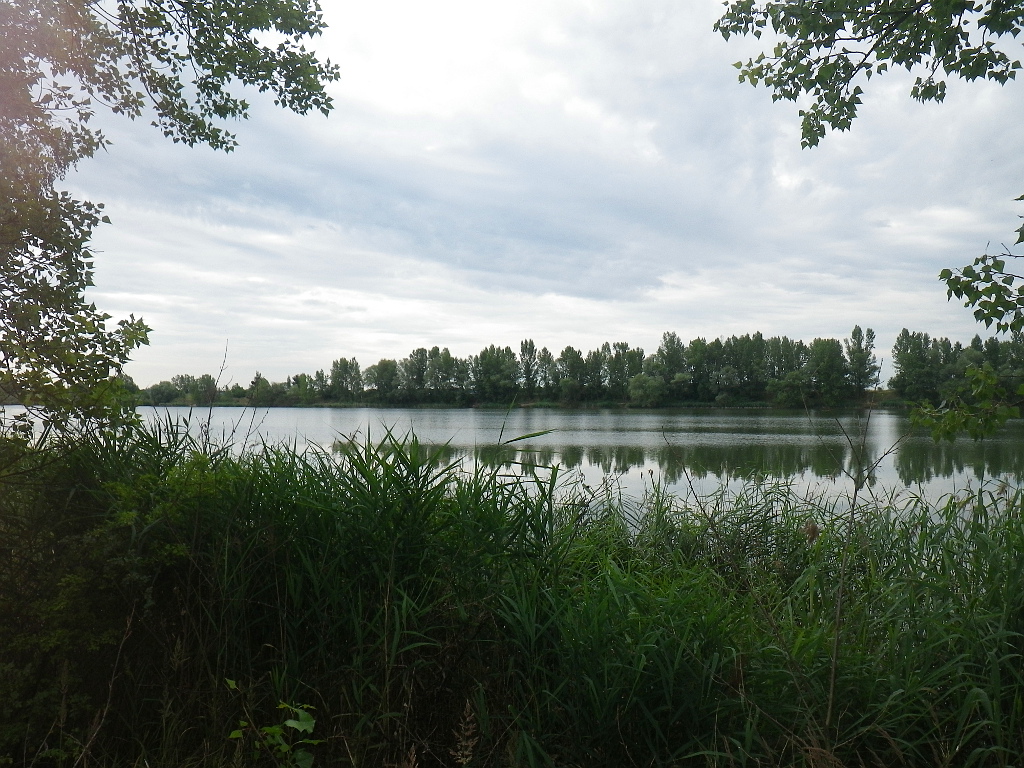 Baraba
