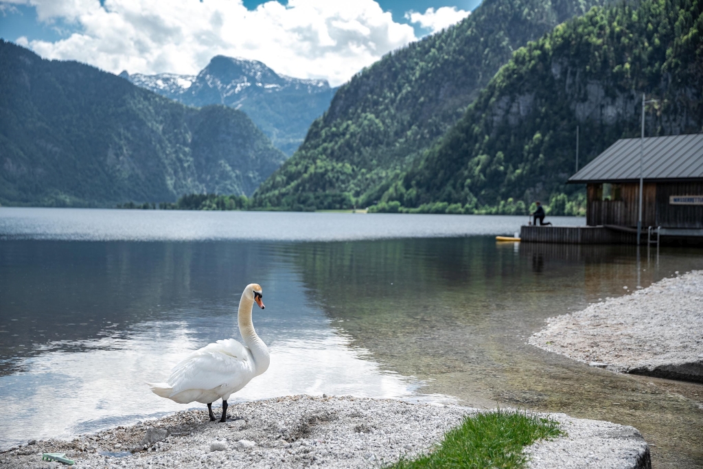 Hallstättersee