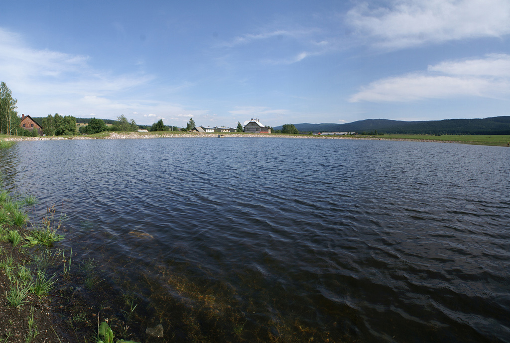Orlické Záhoří