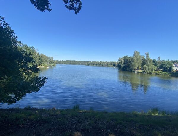 Staňkovský rybník