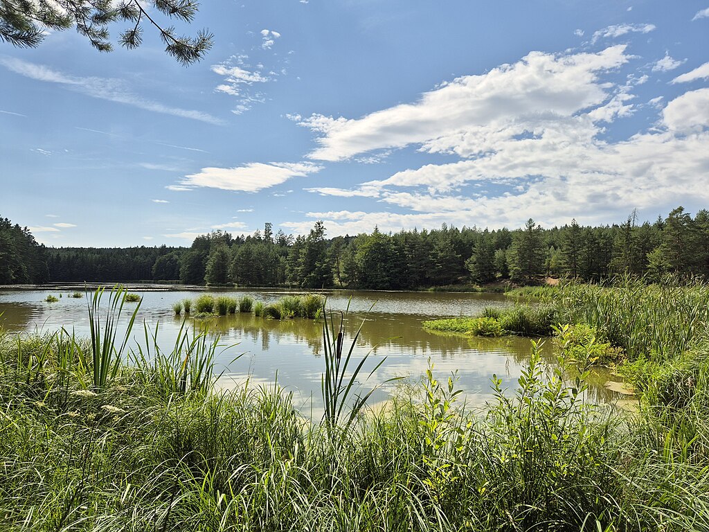 Staňkovský rybník