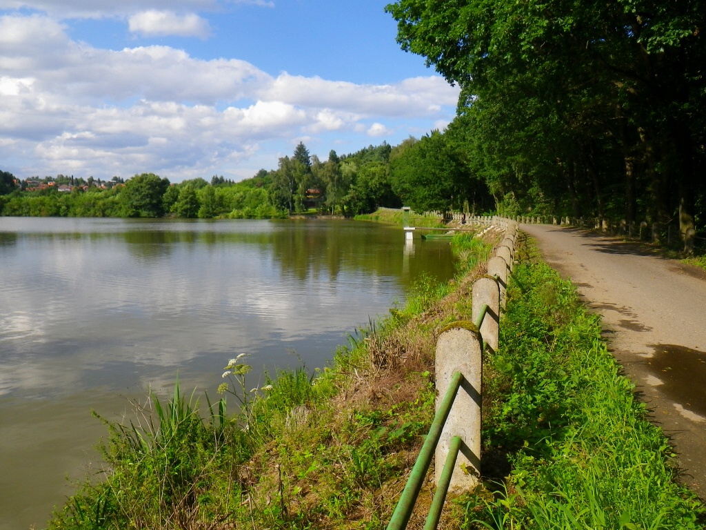 Vyžlovský rybník