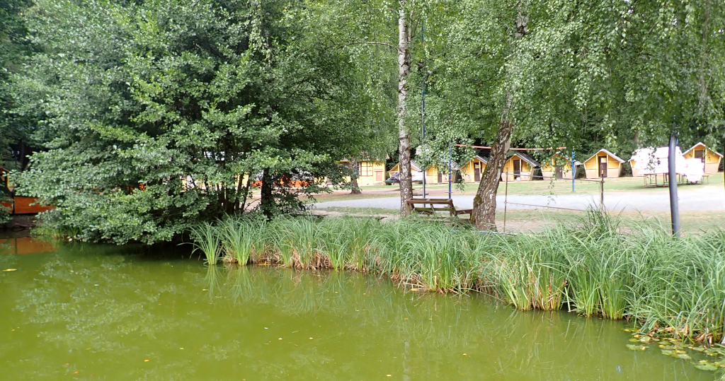 Drhlenský rybník